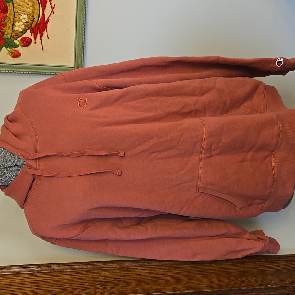 Champion Dusty Rose Sweatshirt